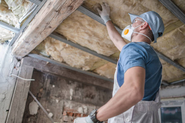 Best Specialized Insulation Services in Taft, FL