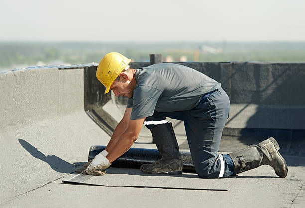 Professional Insulation Contractor in Taft, FL