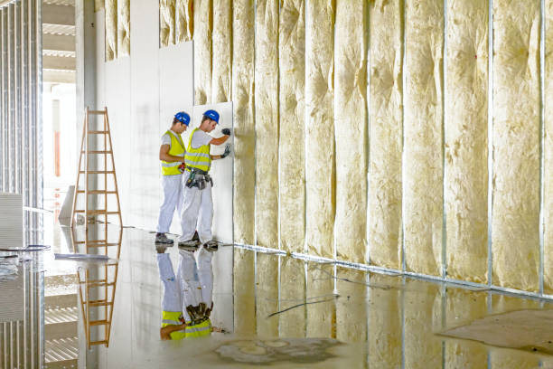 Best Commercial Insulation in Taft, FL